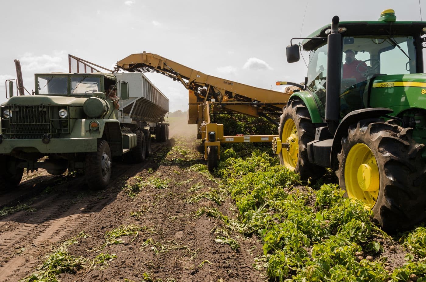 Agro-processing production environment